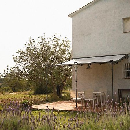 Masia Bartomeu Rural House Between Vineyards 2Km From The Beach Ел Вендрел Екстериор снимка