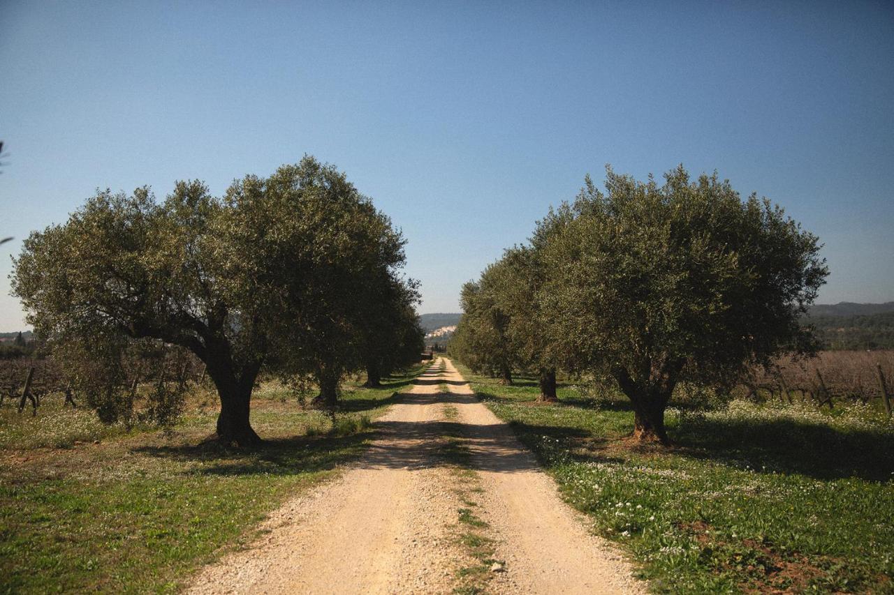 Masia Bartomeu Rural House Between Vineyards 2Km From The Beach Ел Вендрел Екстериор снимка