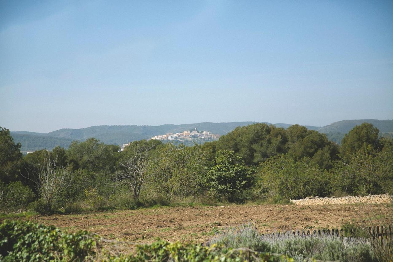 Masia Bartomeu Rural House Between Vineyards 2Km From The Beach Ел Вендрел Екстериор снимка