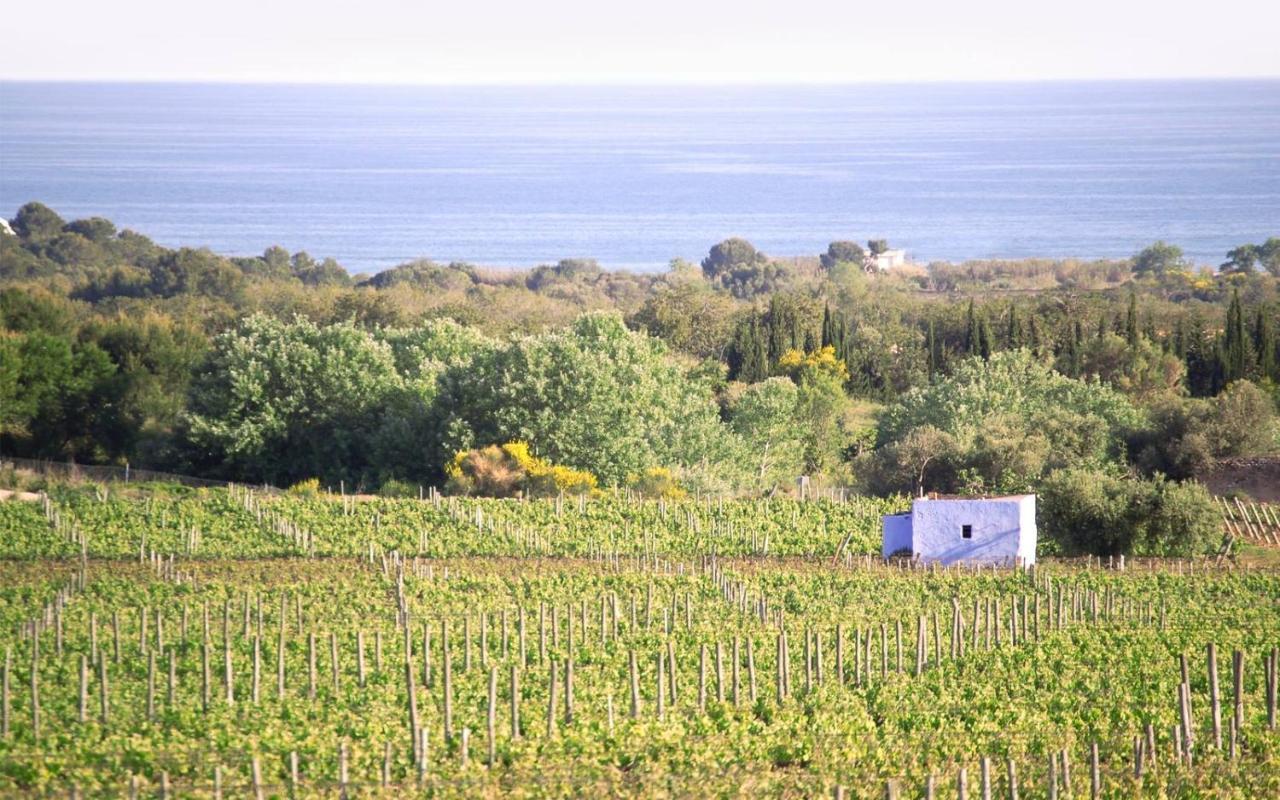 Masia Bartomeu Rural House Between Vineyards 2Km From The Beach Ел Вендрел Екстериор снимка